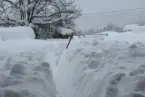 გურიაში 25 მილიონი ლარი გამარტივებული შესყიდვით დაიხარჯება