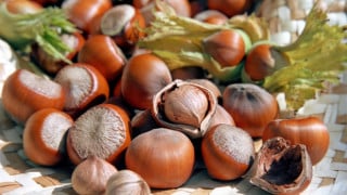 How are nut prices determined and what are the profits for nut processing enterprises?