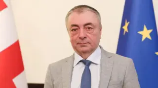 ელისაშვილმა ერთი საათით ადრე, ინტერვიუში თქვა მოსამართლე ხუჭუას გადაწყვეტილების შინაარსი