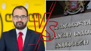 გრიგოლ გეგელია VS საგარეო საქმეთა სამინისტრო