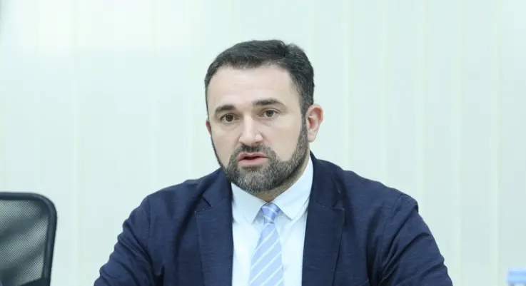 სხვადასხვა საარჩევნო დოკუმენტაციის, მათ შორის, ჩარჩო ფორმის თუ ბიულეტენის გამოყენების ნაწილში არანაირ დარღვევას და სამართლებრივ გადაცდომას ადგილი არ ჰქონია.