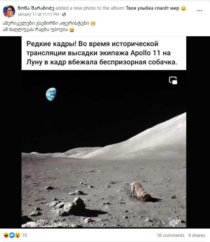 dog in space apollo